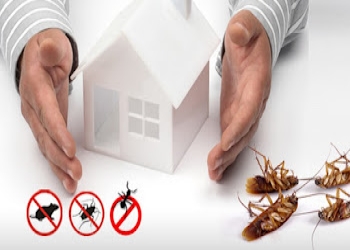 Sri-ganapathy-pest-management-services-Pest-control-services-Mahe-pondicherry-Puducherry-2