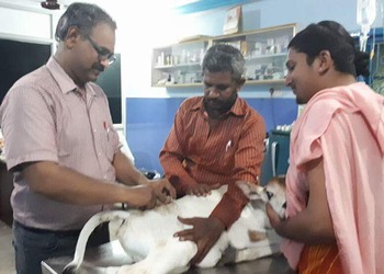 Sri-hanuman-pet-speciality-hospital-Veterinary-hospitals-Vijayawada-Andhra-pradesh-1
