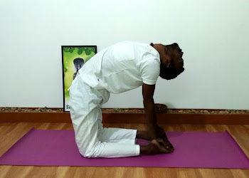 Sri-patanjali-yoga-studio-Yoga-classes-Pondicherry-Puducherry-2