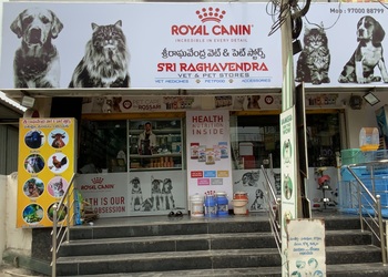 Sri-raghavendra-vet-pet-stores-Pet-stores-Habsiguda-hyderabad-Telangana-1