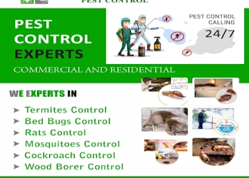 Sri-simhadri-pest-control-Pest-control-services-Mvp-colony-vizag-Andhra-pradesh-1