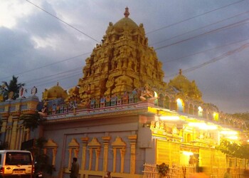 Sri-venkatachalapathy-temple-Temples-Salem-Tamil-nadu-2