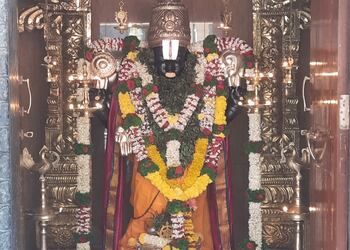 Sri-venkateshwara-balaji-mandir-Temples-Pimpri-chinchwad-Maharashtra-2