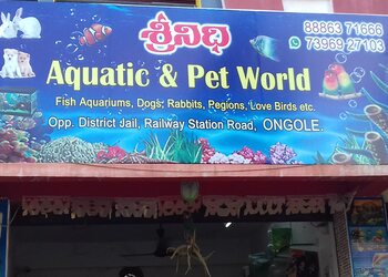 Srinidhi-aquatic-pet-world-Pet-stores-Ongole-Andhra-pradesh-1