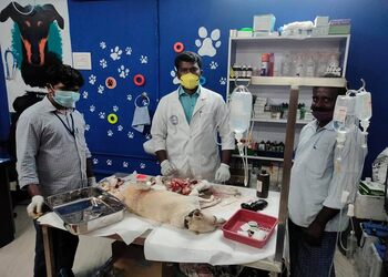 Ss-pet-care-hospital-Veterinary-hospitals-Tirunelveli-Tamil-nadu-3