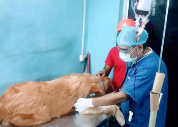 Ss-pet-clinic-Veterinary-hospitals-Secunderabad-Telangana-3
