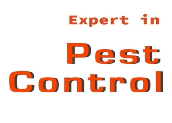 Sss-pest-control-Pest-control-services-Sathuvachari-vellore-Tamil-nadu-1