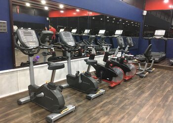 Star-fitness-equipment-Gym-equipment-stores-Ajmer-Rajasthan-3