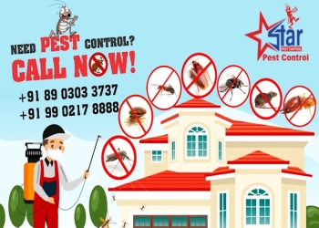 Star-pest-control-Pest-control-services-Katpadi-vellore-Tamil-nadu-1