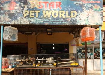 Star-pet-world-Pet-stores-Hyderabad-Telangana-1
