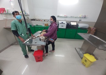 Sukhda-pet-hospital-Veterinary-hospitals-Civil-lines-jaipur-Rajasthan-2