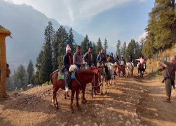 Sultana-tour-and-travels-Travel-agents-Dalgate-srinagar-Jammu-and-kashmir-2