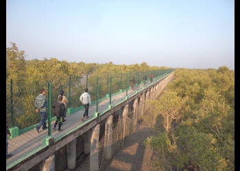 Sundarban-vraman-travel-agency-Travel-agents-Baruipur-kolkata-West-bengal-2