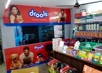 Super-dogs-and-cats-Pet-stores-Warangal-Telangana-2