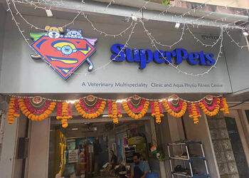 Superpets-small-animal-clinic-Veterinary-hospitals-Bandra-mumbai-Maharashtra-1