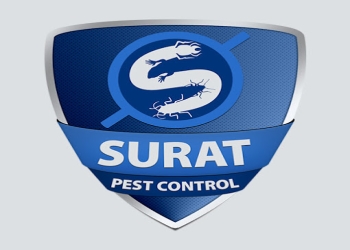 Surat-pest-control-Pest-control-services-Athwalines-surat-Gujarat-1