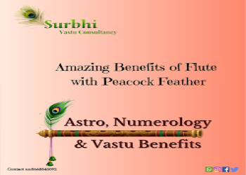 Surbhi-vastu-consultansy-Vastu-consultant-Nagpur-Maharashtra-2