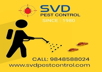 Svd-pest-control-services-Pest-control-services-Vijayawada-junction-vijayawada-Andhra-pradesh-1