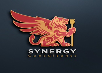 Synergy-idea-consultants-llp-Business-consultants-Navi-mumbai-Maharashtra-1
