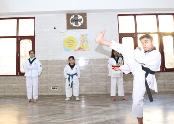 Taekwondo-classes-by-arun-kumar-Martial-arts-school-Chandigarh-Chandigarh-2