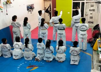 Taekwondo-eagles-Martial-arts-school-Agra-Uttar-pradesh-3