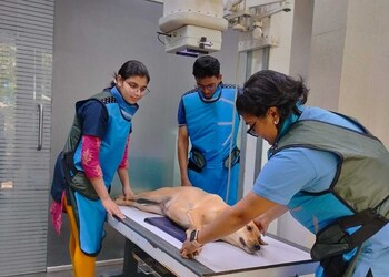 Tailwaggerz-pet-clinic-Veterinary-hospitals-Goa-Goa-2