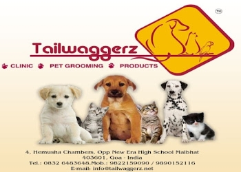 Tailwaggerz-pet-clinic-Veterinary-hospitals-Panaji-Goa-1