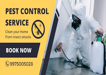 Take-care-solution-and-services-Pest-control-services-Ambernath-Maharashtra-2