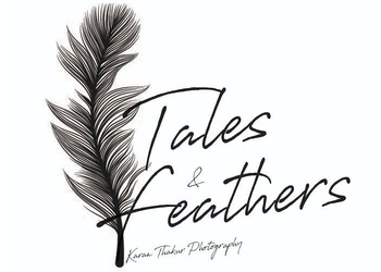 Tales-and-feathers-Videographers-Barsar-hamirpur-Himachal-pradesh-1