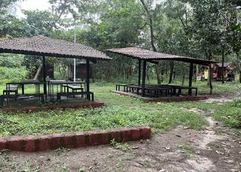 Tannirubavi-tree-park-Public-parks-Mangalore-Karnataka-2