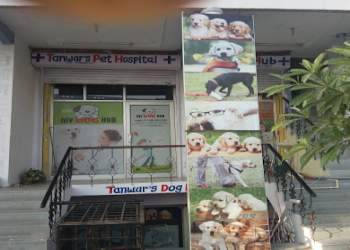Tanwar-dog-hospital-Veterinary-hospitals-Jaipur-Rajasthan-1