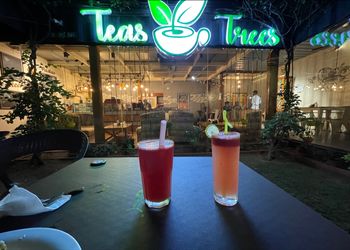 Teas-n-trees-Cafes-Guntur-Andhra-pradesh-1