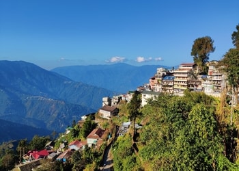 Teesta-homestay-Budget-hotels-Darjeeling-West-bengal-1
