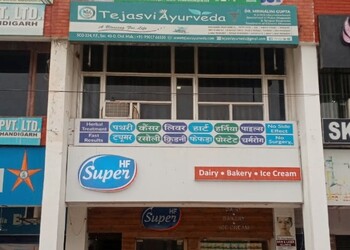 Tejasvi-ayurveda-clinic-Ayurvedic-clinics-Chandigarh-Chandigarh-1