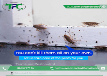 Termicure-pest-control-Pest-control-services-Ghatkopar-mumbai-Maharashtra-2