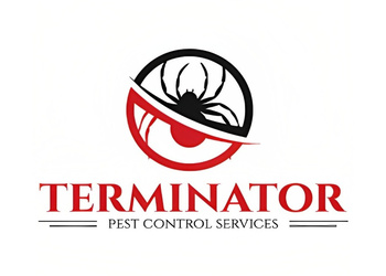 Terminator-pest-india-private-limited-Pest-control-services-Chopasni-housing-board-jodhpur-Rajasthan-1