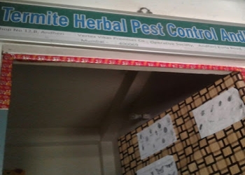 Termite-herbal-pest-control-Pest-control-services-Andheri-mumbai-Maharashtra-1