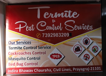 Termite-pest-control-services-Pest-control-services-Allahabad-prayagraj-Uttar-pradesh-2