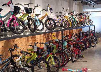 The-bicycle-studio-Bicycle-store-Cyber-city-gurugram-Haryana-3