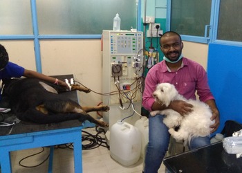 The-cochin-pet-hospital-Veterinary-hospitals-Kakkanad-kochi-Kerala-2