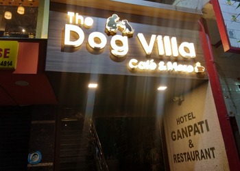 The-dog-villa-caf-Cafes-Siliguri-West-bengal-1