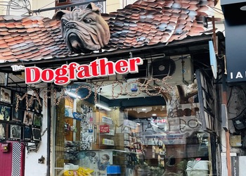 The-dogfather-Pet-stores-Civil-lines-jaipur-Rajasthan-1