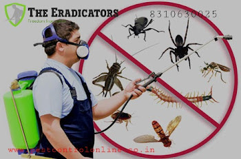 The-eradicators-Pest-control-services-Jp-nagar-bangalore-Karnataka-2