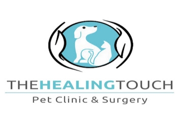 The-healing-touch-pet-clinic-surgery-Veterinary-hospitals-Chandigarh-Chandigarh-1