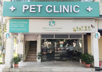 The-healing-touch-pet-clinic-surgery-Veterinary-hospitals-Chandigarh-Chandigarh-2