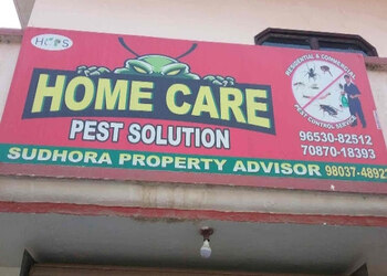 The-home-care-pest-solution-Pest-control-services-Rajguru-nagar-ludhiana-Punjab-1