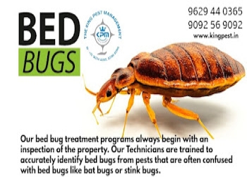 The-king-pest-management-Pest-control-services-Gandhipuram-coimbatore-Tamil-nadu-1