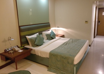 The-metropole-hotel-3-star-hotels-Ahmedabad-Gujarat-2