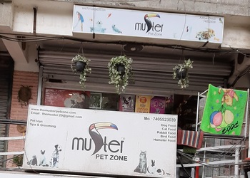 The-muster-pet-zone-Pet-stores-Surat-Gujarat-1