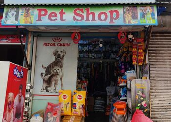The-pet-crown-Pet-stores-Jabalpur-Madhya-pradesh-1